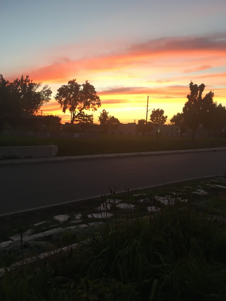  Sunset, Ottawa, house sitting, adventure