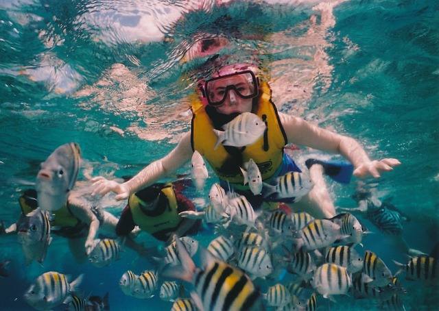 Snorkeling, Belize Barrier Reef in Cozumel