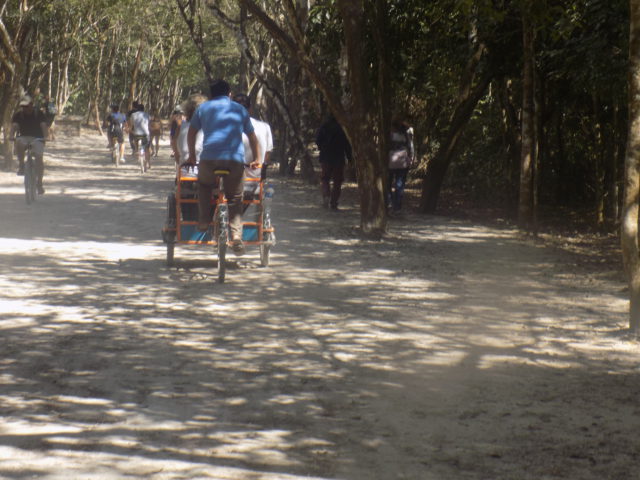 Chauferred at Tulum Ruins, Mayan Ruins Riviera Maya