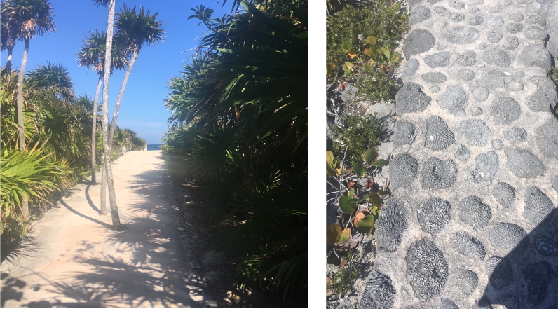 Pathways at Xel-Ha Park