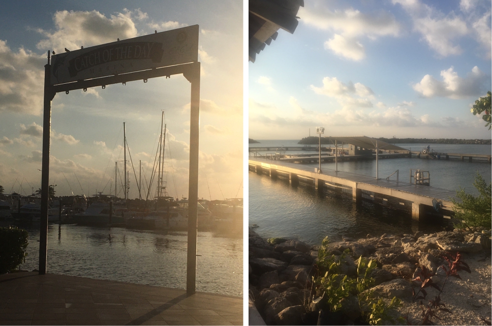 El Cid Resort Marina, coral reefs Mexico