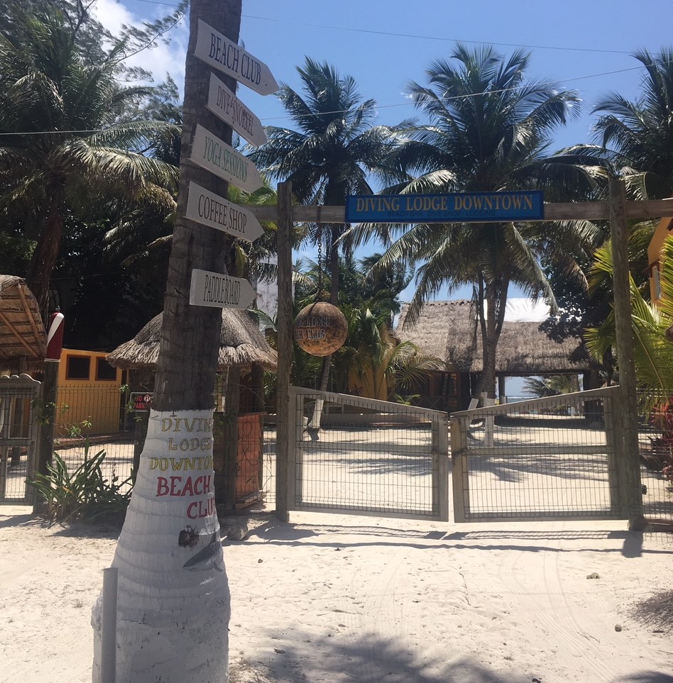 Diving Lodge Downtown, Puerto Morelos