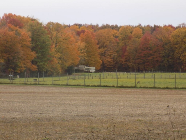 Autumn, fence, trailer, road
