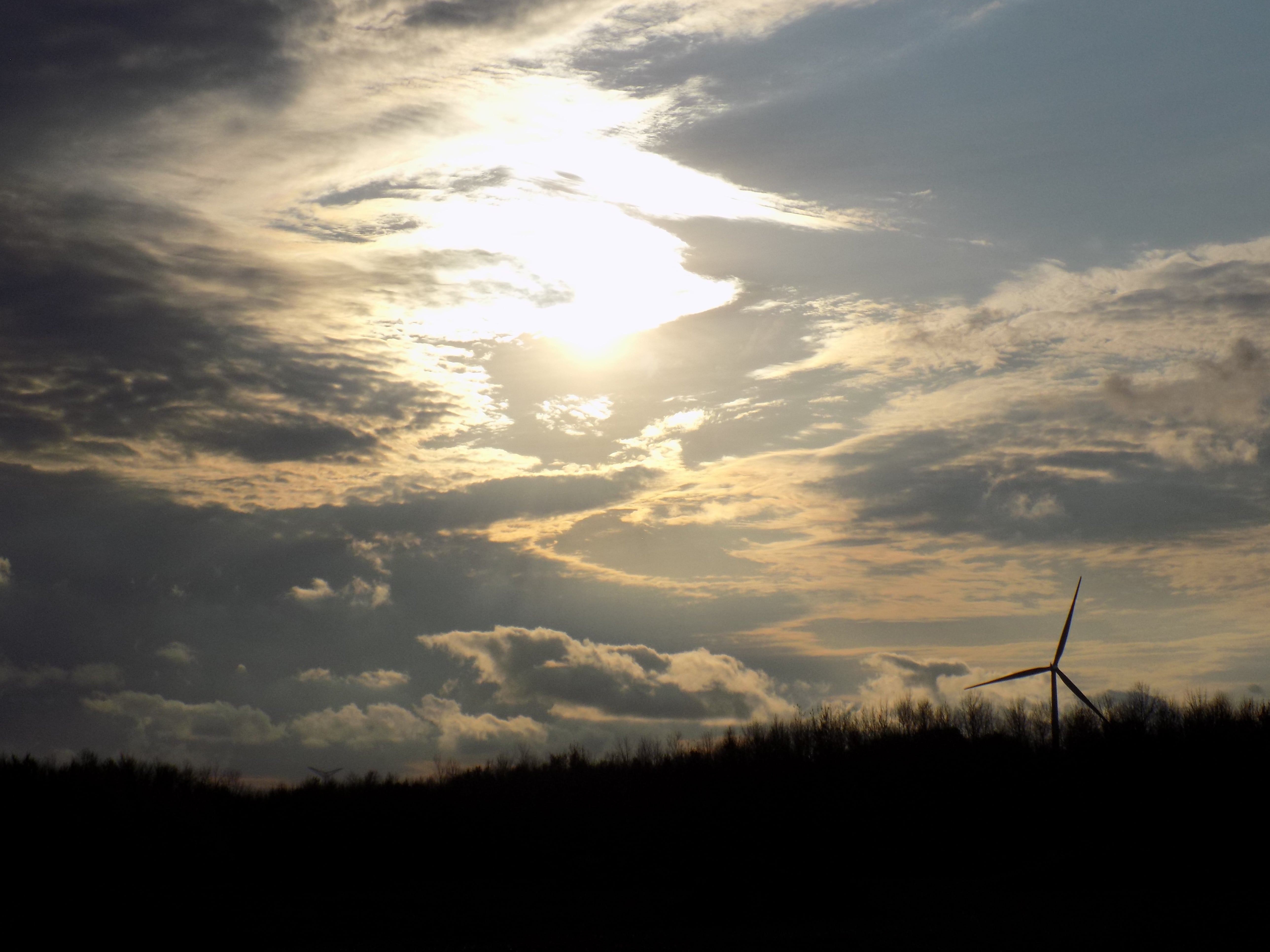 Sunset, Grey Bruce, Ontario, Wind Turbine, trees
