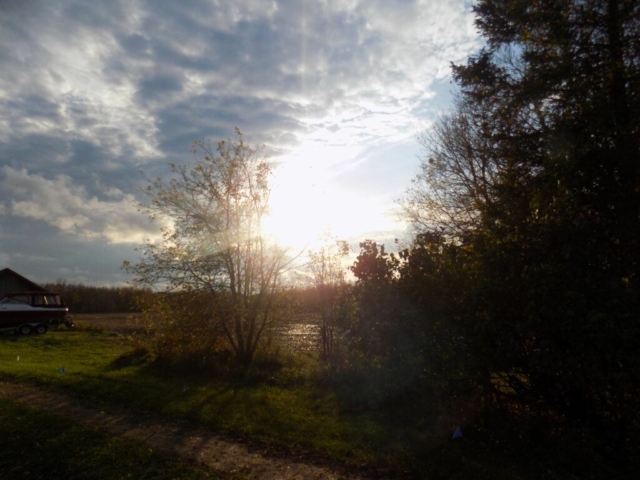 Sunset, Grey Bruce, trees,field