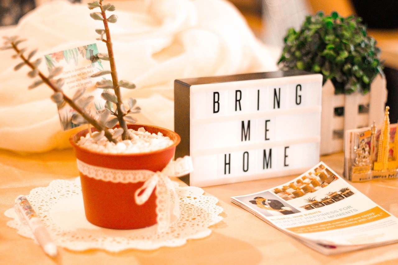 Airbnb, magazine room, decor, plant