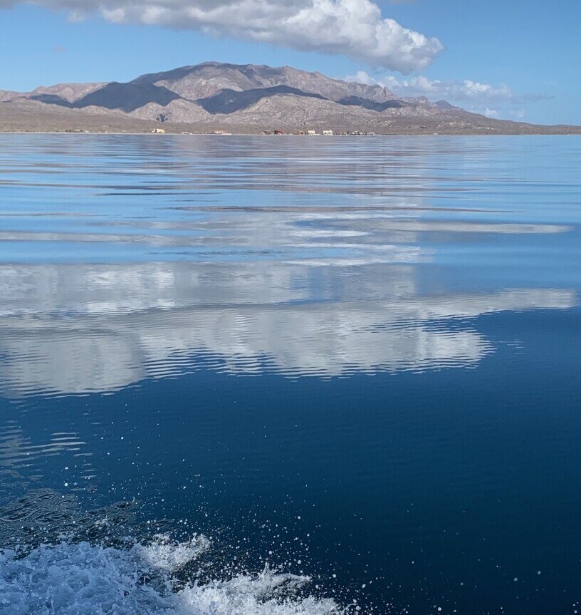 Explore La Paz and Loreto, marina